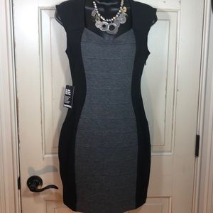 NWT Express Body Con Dress